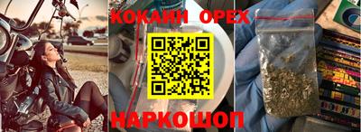 тгк Гусев